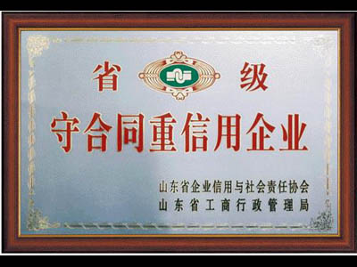 山东绿巨人视频官网机厂家
